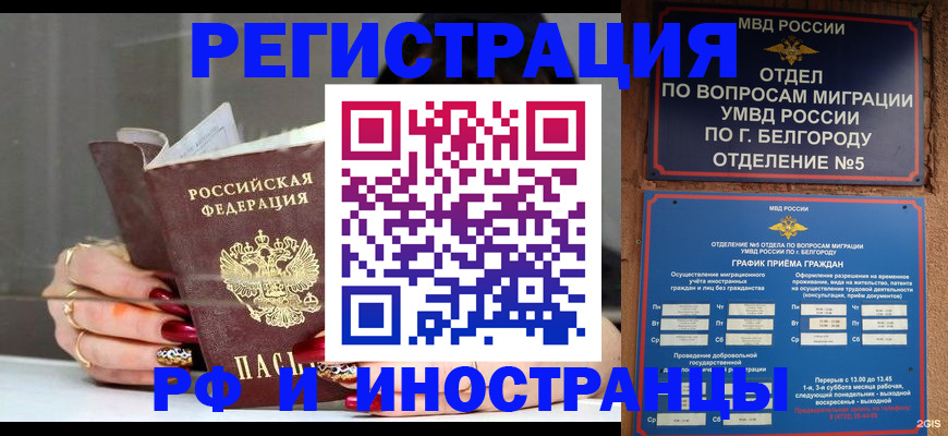 прописка в Галиче